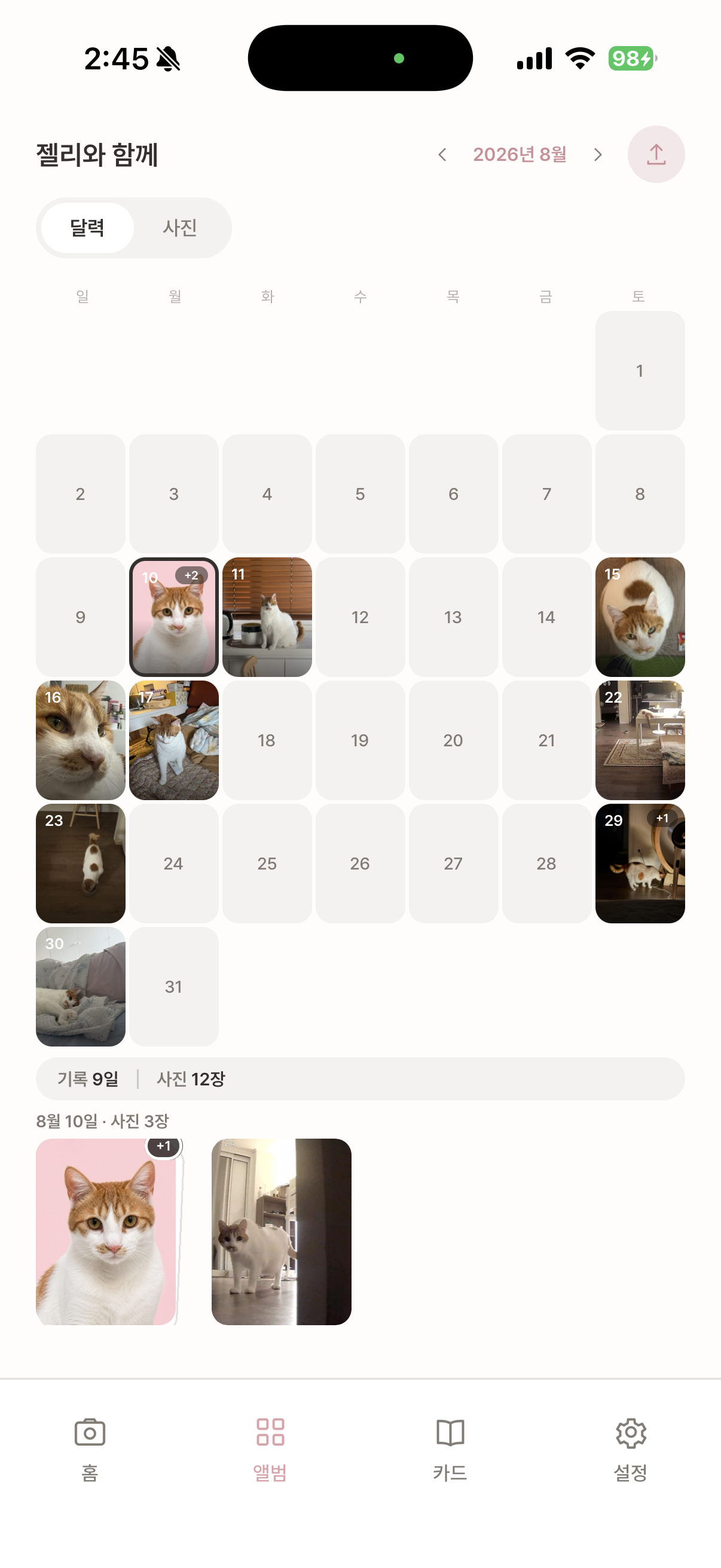 날짜별로 사진과 기록을 모아보는 젤리로그 달력 앨범