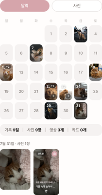 젤리로그 날짜별 사진 앨범 화면