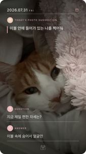 사진, 질문, 답변으로 완성한 젤리로그 기록 카드
